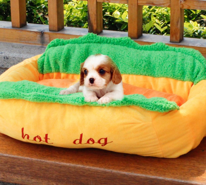 walmart dog stuff