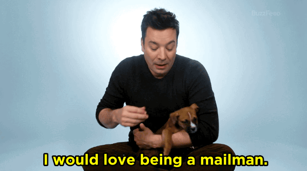 JF: That's a good question! You know, my parents were very supportive of my comedy career. But, I remember after college they made me take a postal exam to become a mailman just to fall back on just in case the comedy career didn't take off. And I nailed it! I crushed that postal exam. I would love being a mail man. I love mailmen. And women. Mail people. I love that they wear shorts. I love that they drive with the steering wheel on the other side of the vehicle, they've got like their own rules. No real set time, they just show up. Everyone respects the mail man because they bring good news. You wanna take care of your mailman. I think I'd like that.