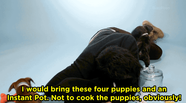 JF: I would name it Animal Planet just to have a lawsuit with Animal Planet and I'd probably get to meet Judge Judy. I like her, I'm a fan of hers. And then what five items would I bring? I would bring these four puppies and an Instant Pot. Not to cook the puppies, obviously! To feed them, cause you make anything in an Instant Pot.