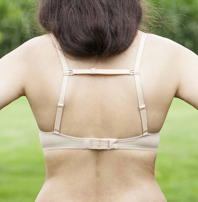 The elastic holder attached to two bra staps in the back of a model