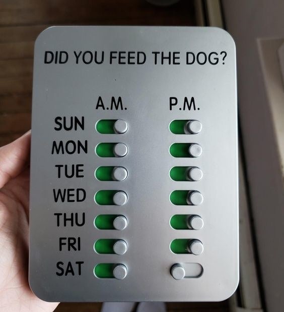 Reviewer holding the &quot;Did You Feed The Dog?&quot; tool with daily &quot;A.M.&quot; and &quot;P.M.&quot; slots 