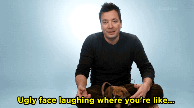 JF: Favorite part of my job is that I get to make people laugh. With today's world, with the internet and everything, it's bigger than the United States, which is amazing, but it's global. You get to see and hear reactions from fans all over the world. And not just laughing, but like, ugly face laughing where you're like — *makes a laughing face* And your least favorite part?JF: The least part I don't really have, I'm just kind of very very lucky to have this job. It's a good job.