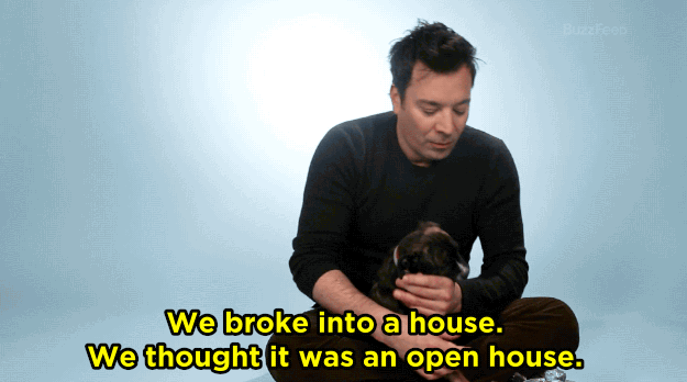 JF: I met him on Saturday Night Live, he was in NSYNC, and then I hosted the VMA's and he was going solo for the first time. We were both nervous and we both did well that night. What is the craziest thing the two of you have done together?JF: We broke into a house. We thought it was an open house. We wanted to look at it and turns out there's no one there and then one of the doors was open so we just figured, "let's go look in and look at it anyway." So we kinda just broke into a house. If this person ever knew that we crashed their house...