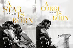 This Corgi's Owners Photoshopped Her Into Movie Posters And Now I'm Eagerly Awaiting Her Film Debut