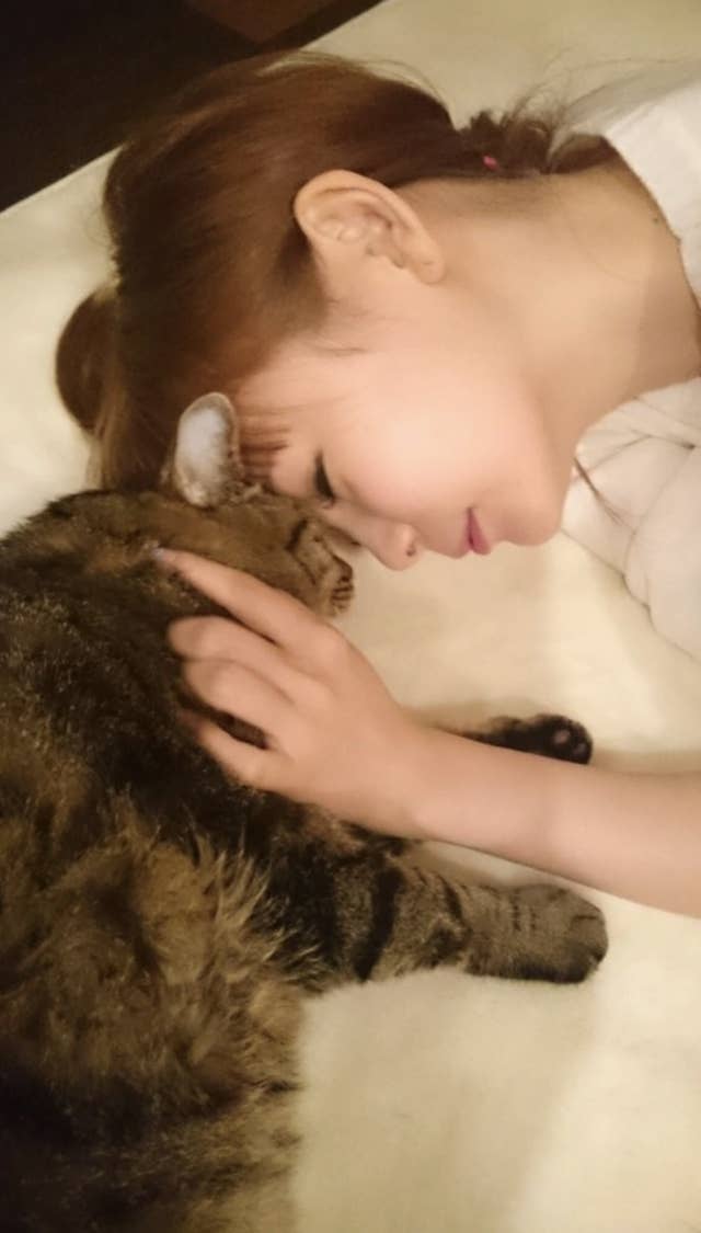 号泣 しょこたんが亡き愛猫 マミタス のために歌った歌が感動的すぎる