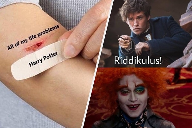 17 Riddikulus Harry Potter Memes That'll Hagrid You Of Your