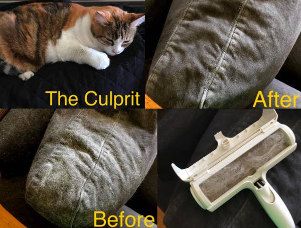 22 Things That Ll Help You Get Each And Every Strand Of Pet Hair