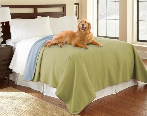 pet covers for human beds