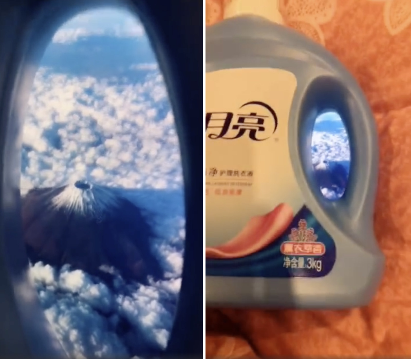 fake travel photos toilet seat