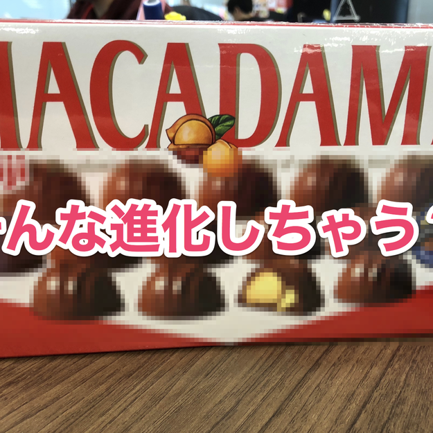 お菓子まとめ売り　チョコレート　トッポ　チョコあ～んぱん　マカダミアナッツ マカダミアナッツチョコの大箱、想像以上にやばかった