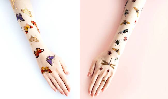 two arms. one covered in butterflies and the other in bugs. 