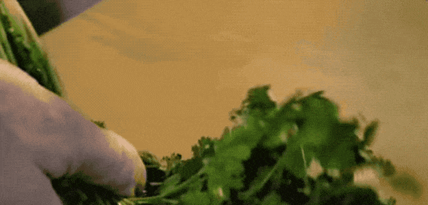 Just hold your herbs upside down and gently shave the leaves off with a sharp knife. You'll end up with a few stems still attached, but you'll be able to pick them out much quicker than picking them individually.See how he does it.