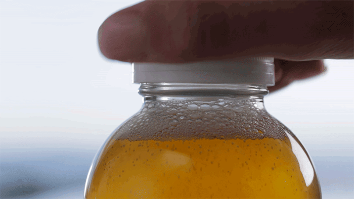 Those little floaties are actually living culture strands, indicating the brew is alive and active. Think of it like a coral reef that harbors billions of living probiotics. *gulp*