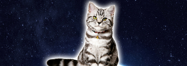 最高に面白いクイズ12選 難問から簡単なものまで おもしろ問題集