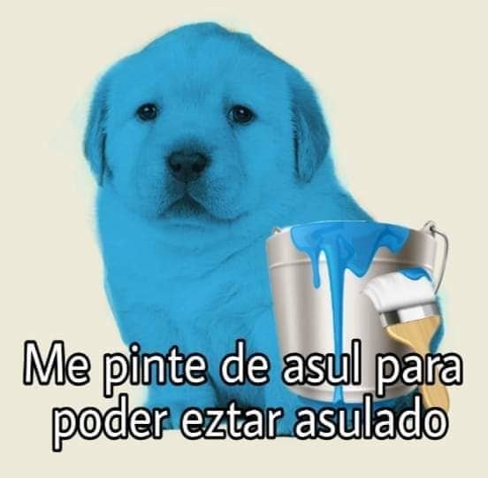 25 Memes del perrito tierno que son, efectivamente, muy tiernos