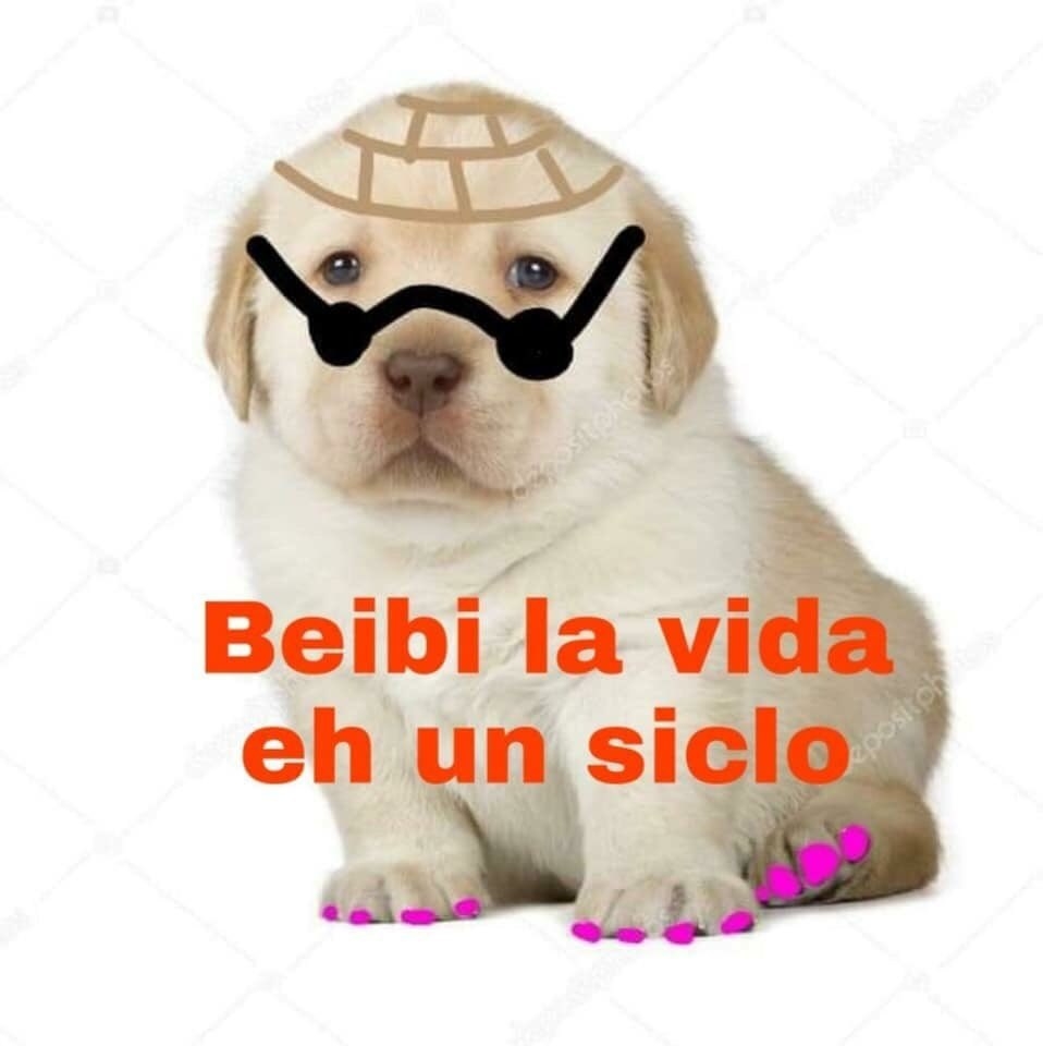 25 Memes Del Perrito Tierno Que Son Efectivamente Muy Tiernos 