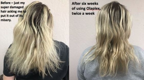 on the left &quot;before — just my super damaged hair asking me to put it out of its misery&quot; over damaged blonde hair. on the right &quot;after six weeks of using opalex twice a week&quot; over the same blonde hair with much less damage and split ends. 