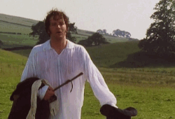 WET! DARCY!