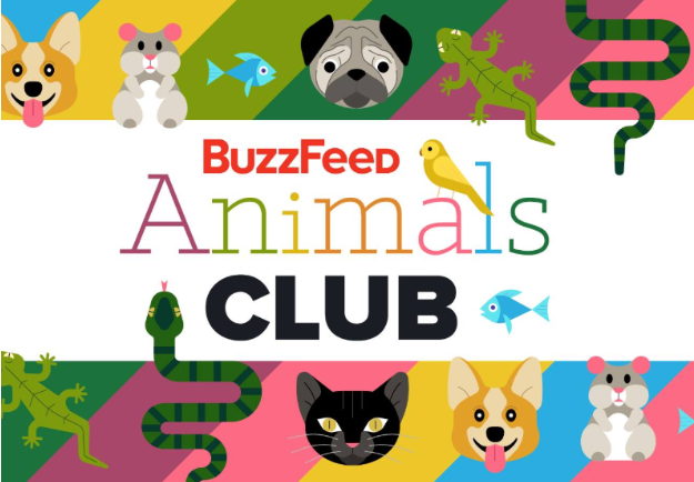 Let's Find Out Which Animal Actually Represents Your Personality Best