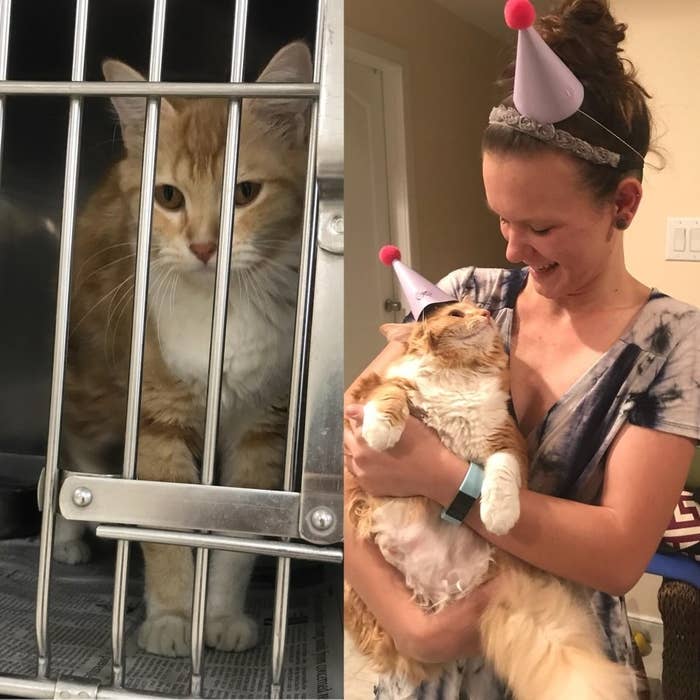 Tell Us The Story Of How You Rescued Your Pet