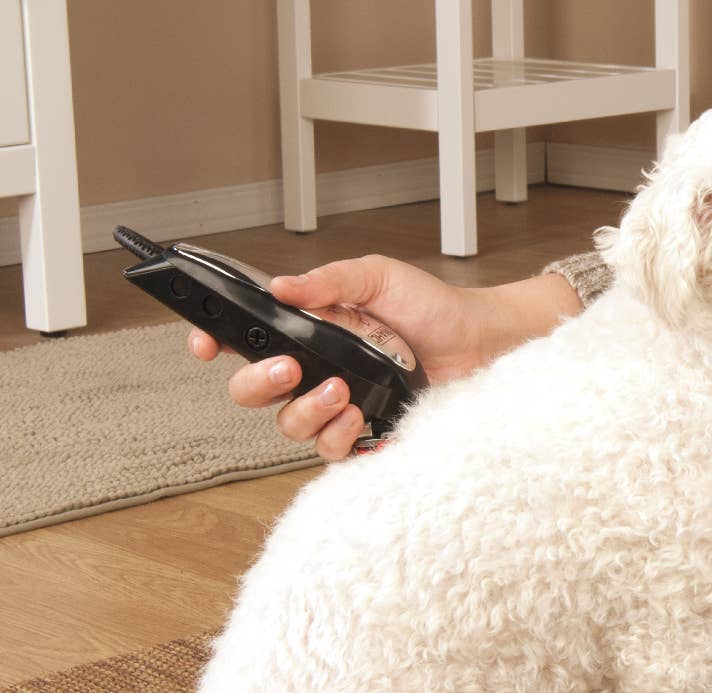 Walmart pet stuff new arrivals