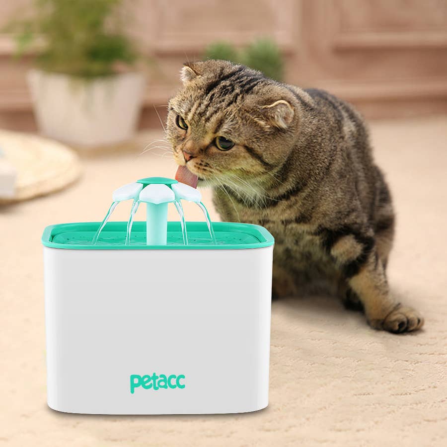 Petacc Pet Feeder Cat Puppy Funny Food Toy Treats Dispensing Toys