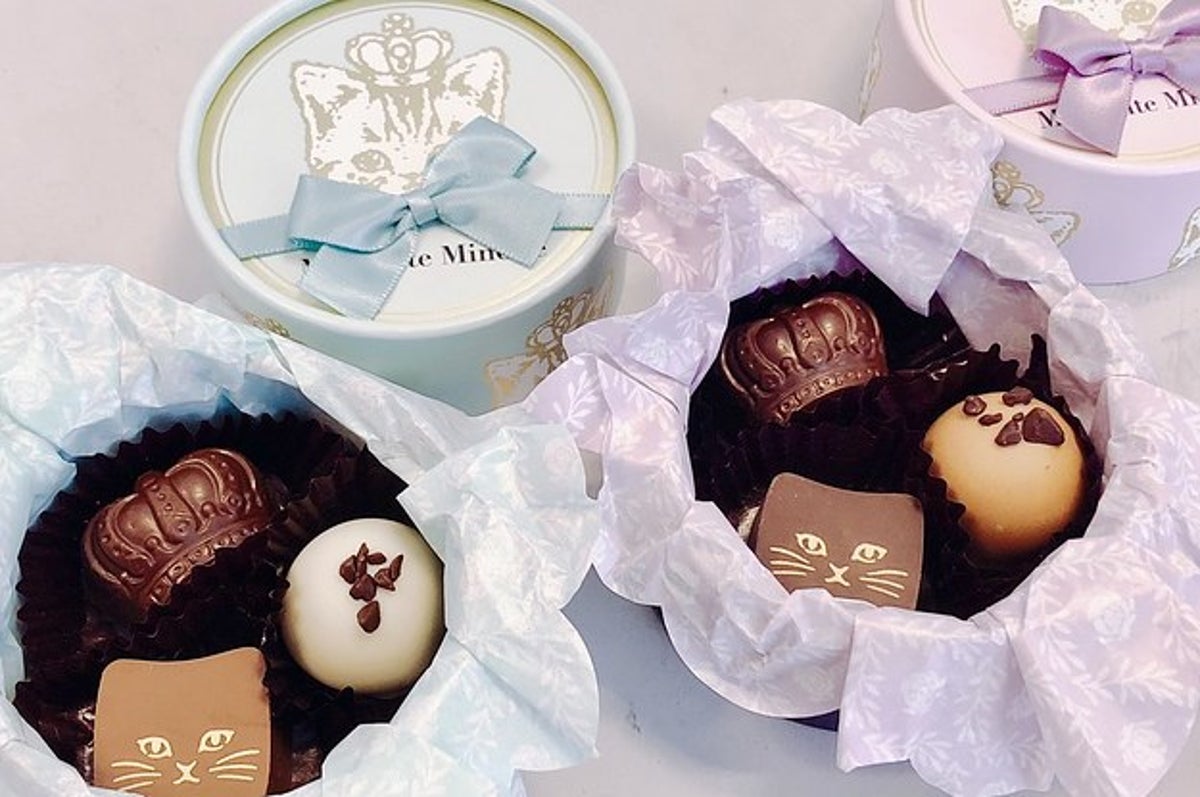 バレンタイン コスパで買うなら 猫チョコ で決まり