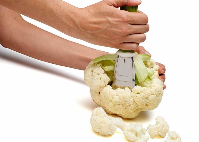 model de-stalking a cauliflower with the tool