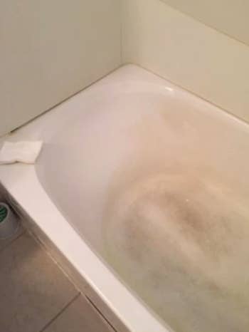 reviewer pic of dirty looking bathtub before cleaning 