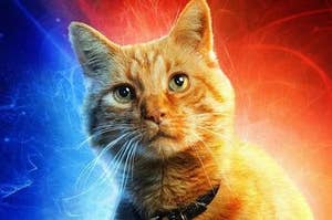 This "Spot The Flerken" Quiz Is Virtually Impossible