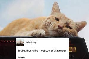 19 Jokes That Prove Goose The Cat Was The Best Part Of "Captain Marvel"