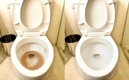 18 Things That Actually Make Cleaning Toilets Incredibly Easy