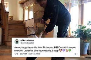 Snoop The Dog Is Now Living His Best Life After Being Abandoned On Christmas