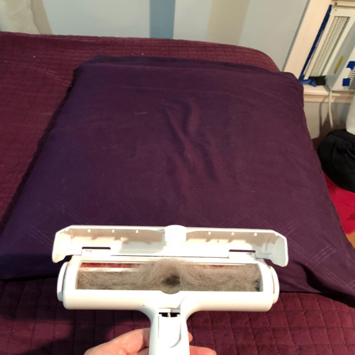 the cushion with no hair on it and the remover roller open to show all the hair collected off of the cushion