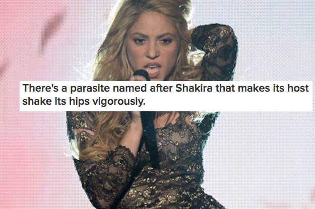 19 Animals That, I Swear, Are Scientifically Named After Famous People