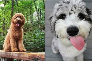 27 Doodles That Are So Cute There Needs To Be A New Word For It