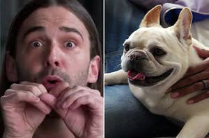 Bruley, "Queer Eye's" New Bulldog — Whomst Is He?!