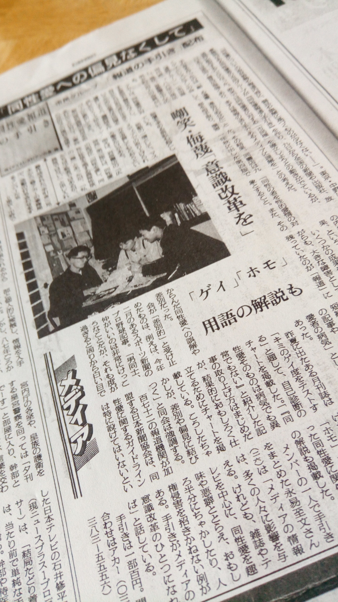 アウトローの表象 20世紀アメリカ美術における検閲と同性愛 洋書
