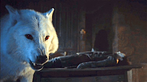 Ghost is as important to Jon Snow as the dragons are to Dany. Their relationship is so essential to the story, and yet Ghost has disappeared from the past couple of seasons of the show. I get that it's expensive to include the direwolves, but it's disappointing to see his role so reduced. We have been told he WILL be in this season, though, which is great – just as long as he survives! (Please, please, please, let him live.)