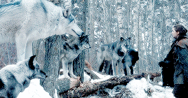 There has to be a reason she appeared in Season 7 beyond running away from Arya, right? Imagine how much damage she and her wolves could do. And it would be wonderful revenge after the wights took down her brother Summer. Just as long as she doesn't die, too. I just can't handle any more animal deaths on this show!!