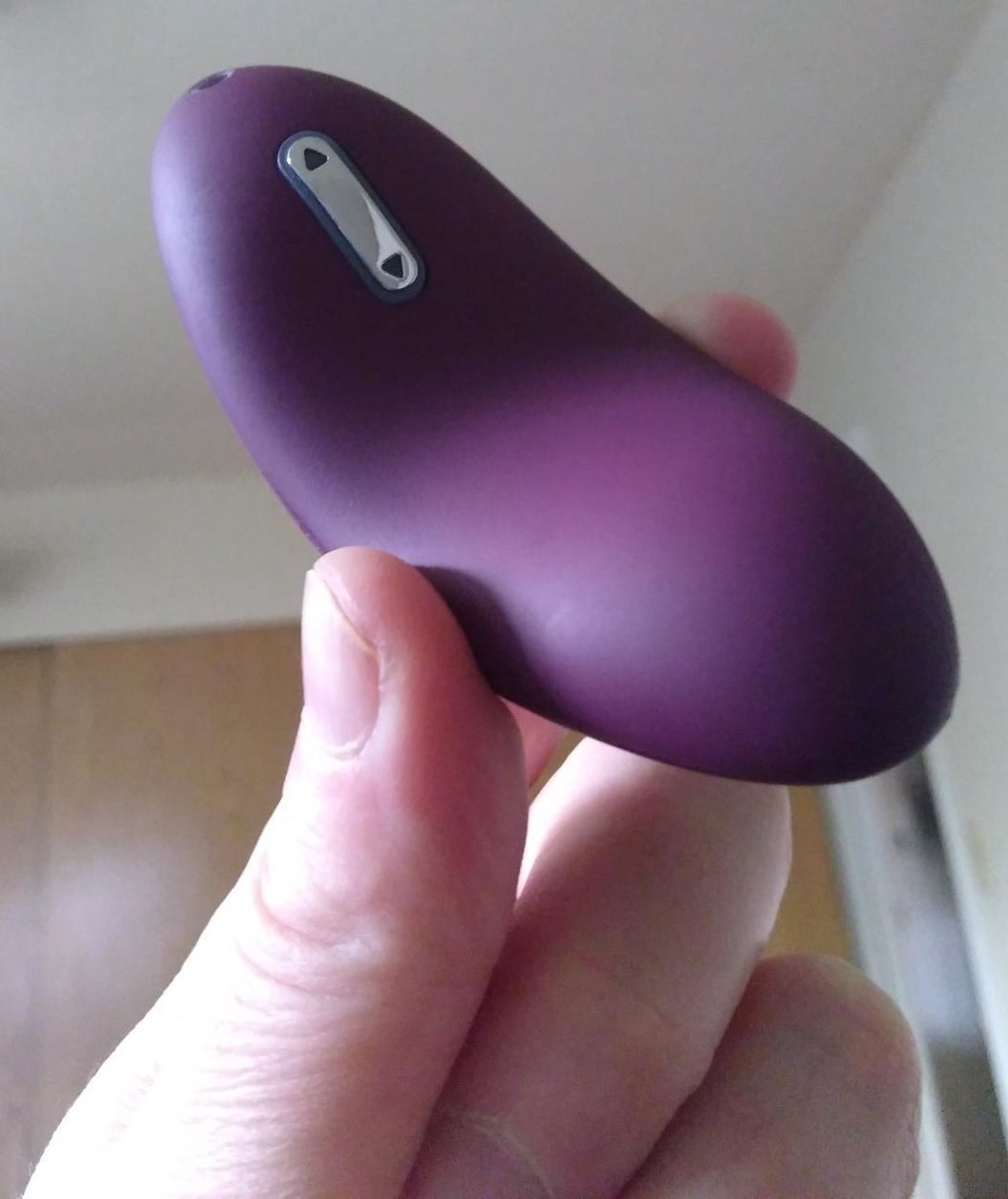 A reviewer photo of a hand holding the compact, purple Echo clitoral vibrator