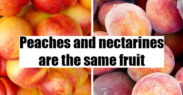 19 Fruit And Veggie Facts That You'll Have To Google To Believe