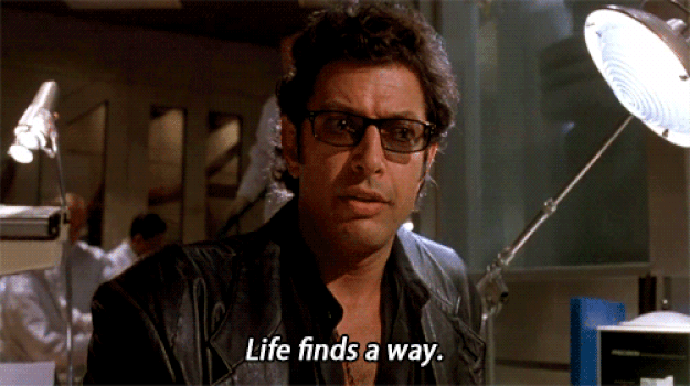 "I was walking out of a gas station over on Crescent Heights and Sunset and heard a, 'Hey!...Hey!' coming from a cracked, tinted window of a Range Rover that was parked at one of the pumps. I walked over to the car and saw Jeff Goldblum, who had somehow seen the gold ring I was wearing on my right hand from 20 feet away. He proceeded to tell me how he loved my ring and has been looking for one just like it and asked me where I got it. I told him it was my grandfather's and he asked to see it up close. I held my hand up to Jeff Goldblum's face, he took my hand, gushed about my ring for a minute, and then thanked me. I said, 'Sure,' and walked back to my apartment.I like to think we're friends now."—Poisonmonkey