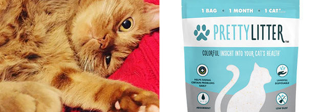 prettylitter australia