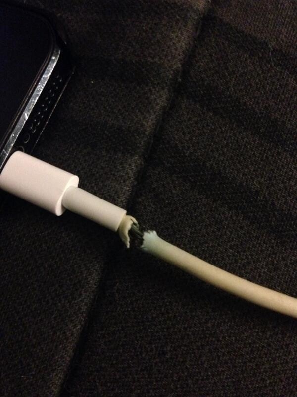 The end.