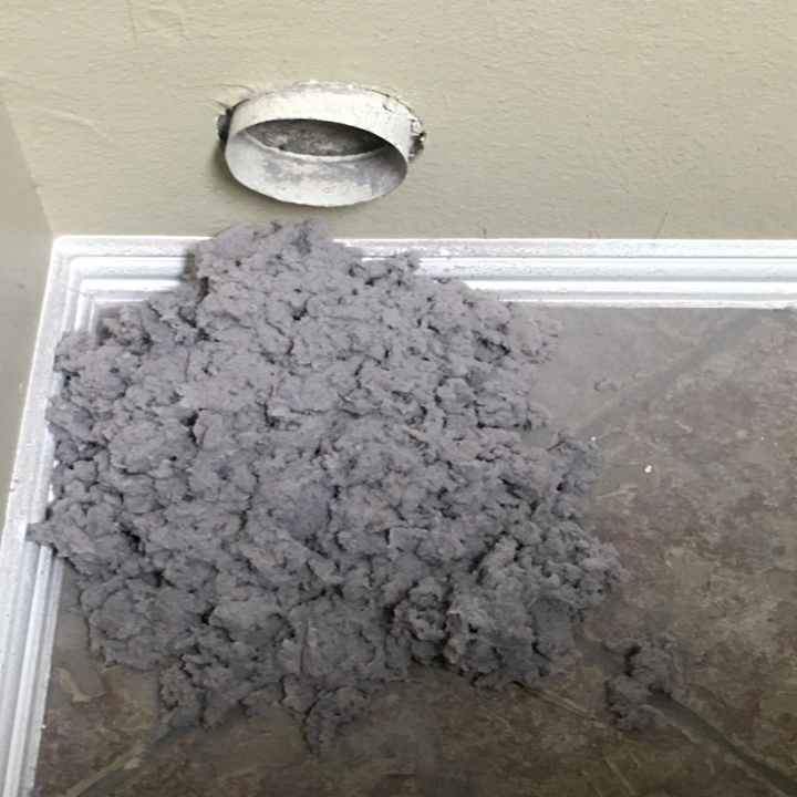 a huge pile of lint 