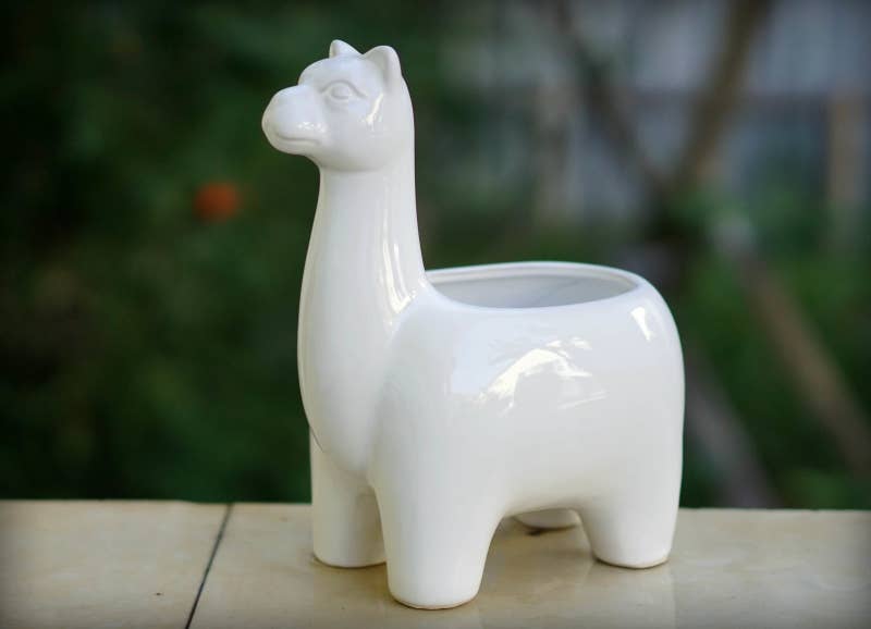 It doesn't have a drainage hole, but you can fill the legs with gravel or pebbles for a similar effect. Price: .80