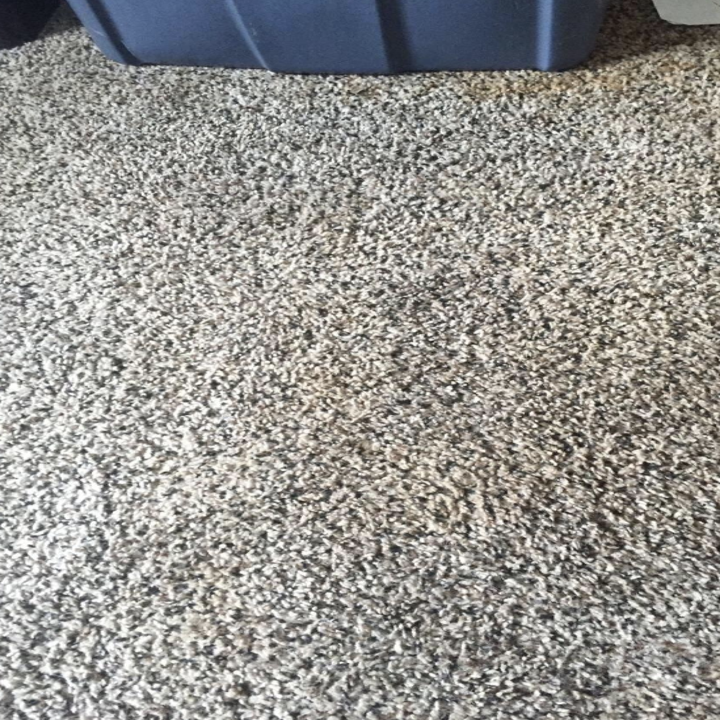 the same carpet now with no stain 