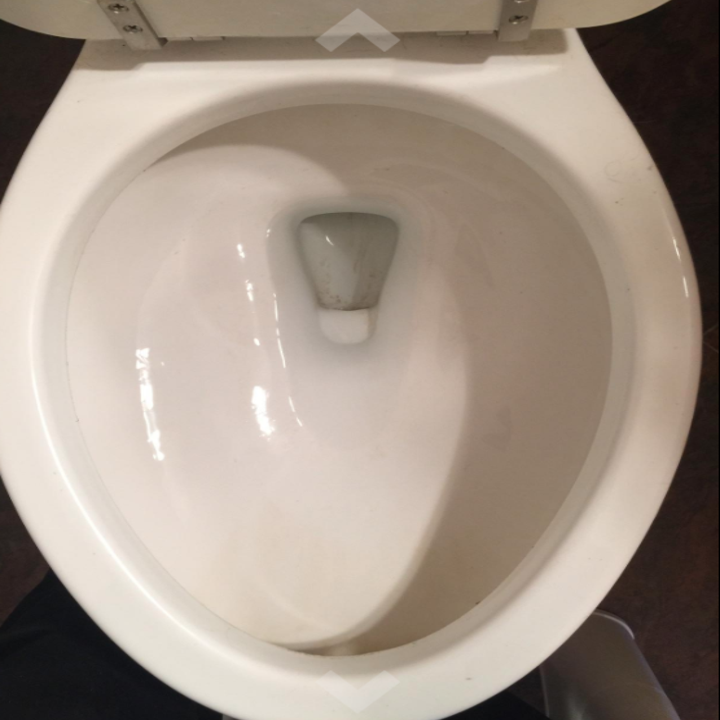 after: the same toilet, no ring in sight