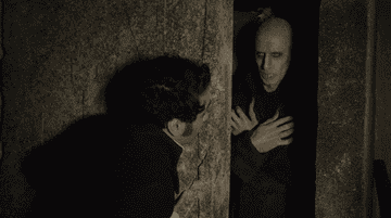 A gif from What We Do In The Shadows of a vampire being woken up 